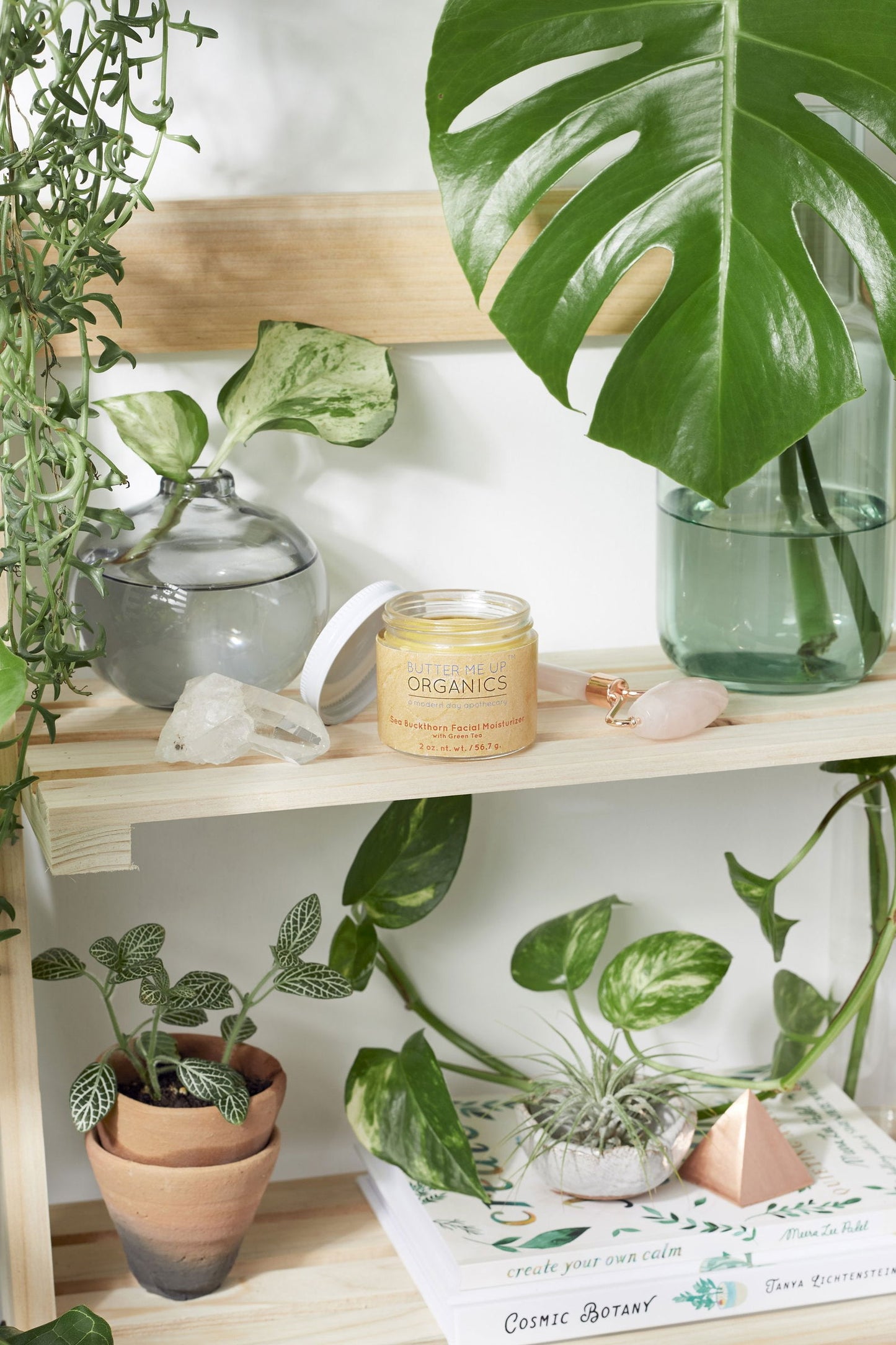 Sea Buckthorn Organic Facial Moisturizer - The Cura Way