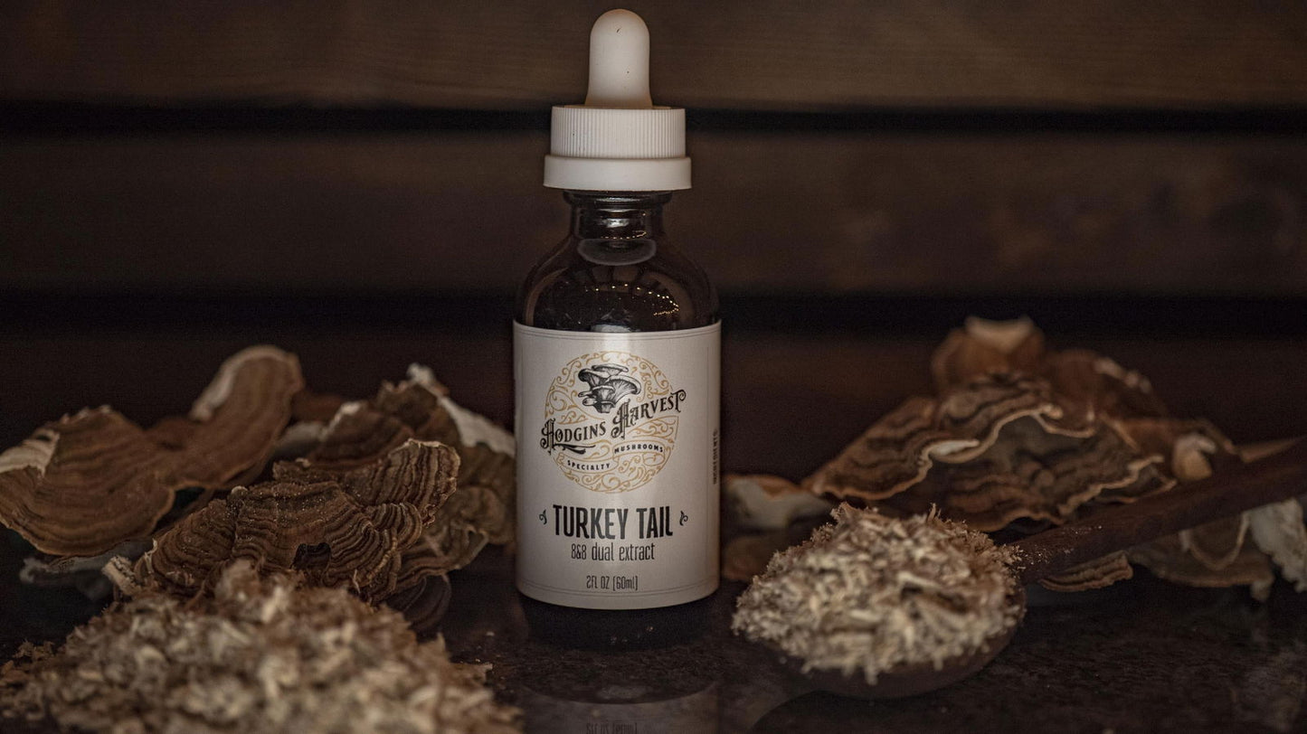 Turkey Tail Dual Extract Tincture - The Cura Way