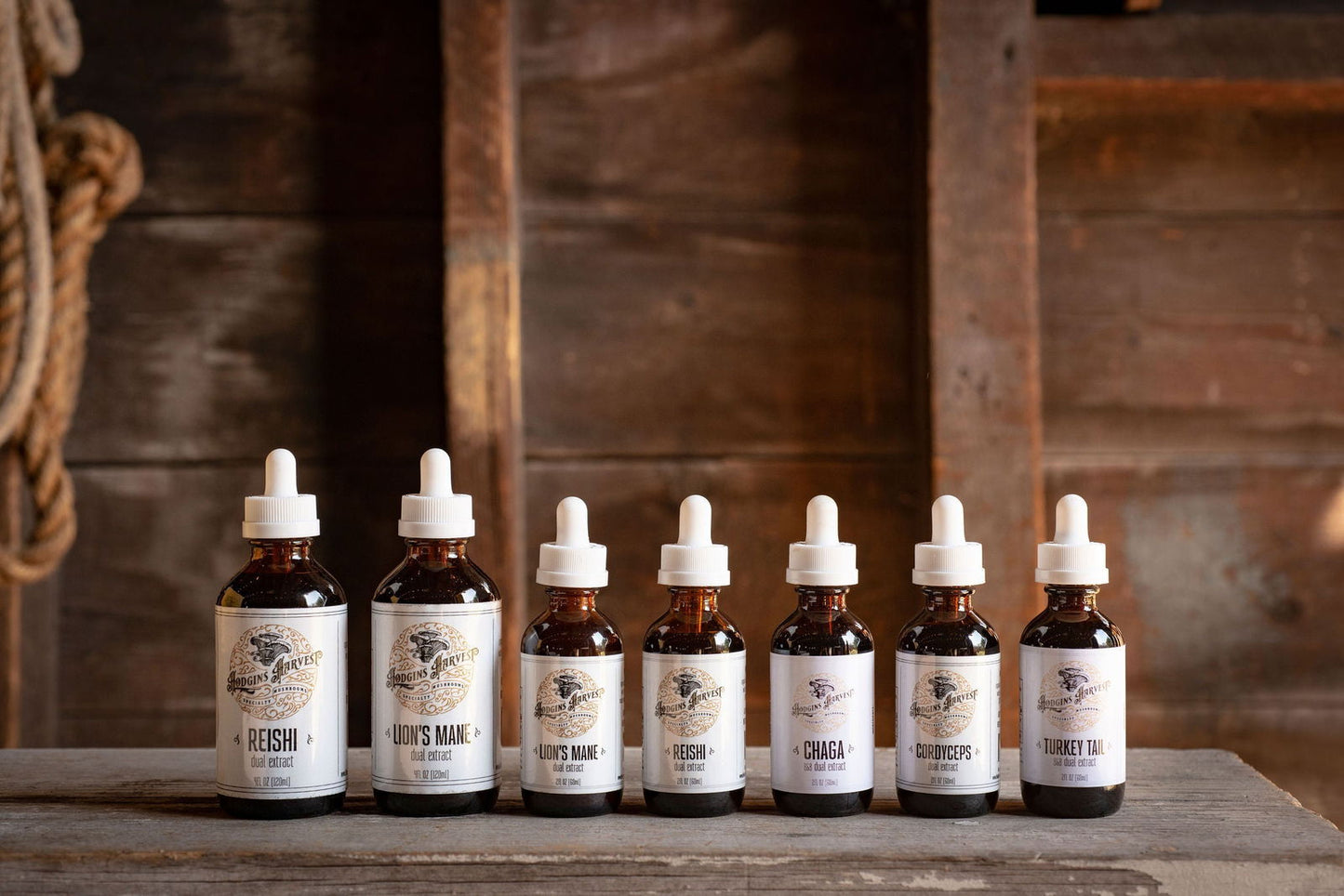 Reishi Dual Extract Tincture - The Cura Way