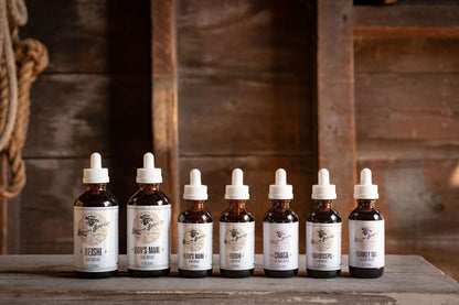 Reishi Dual Extract Tincture - The Cura Way