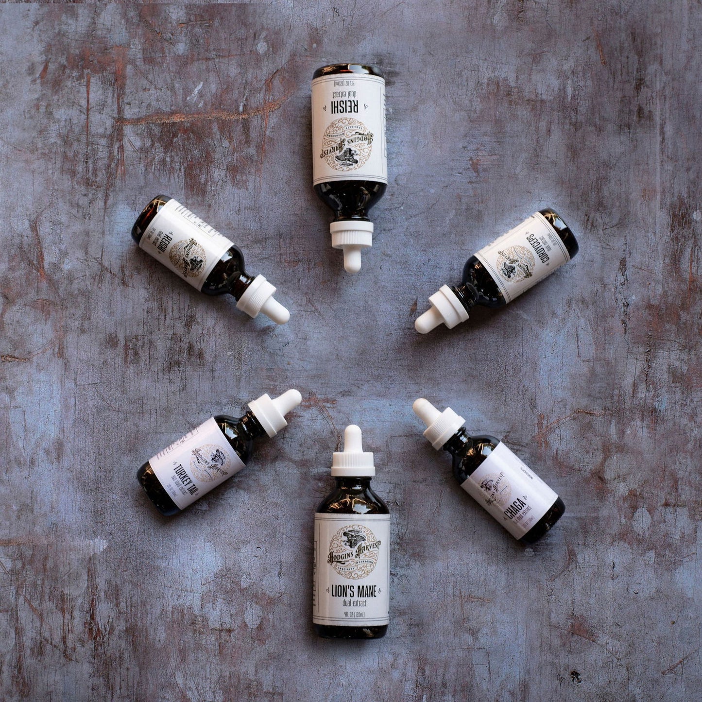 Reishi Dual Extract Tincture - The Cura Way
