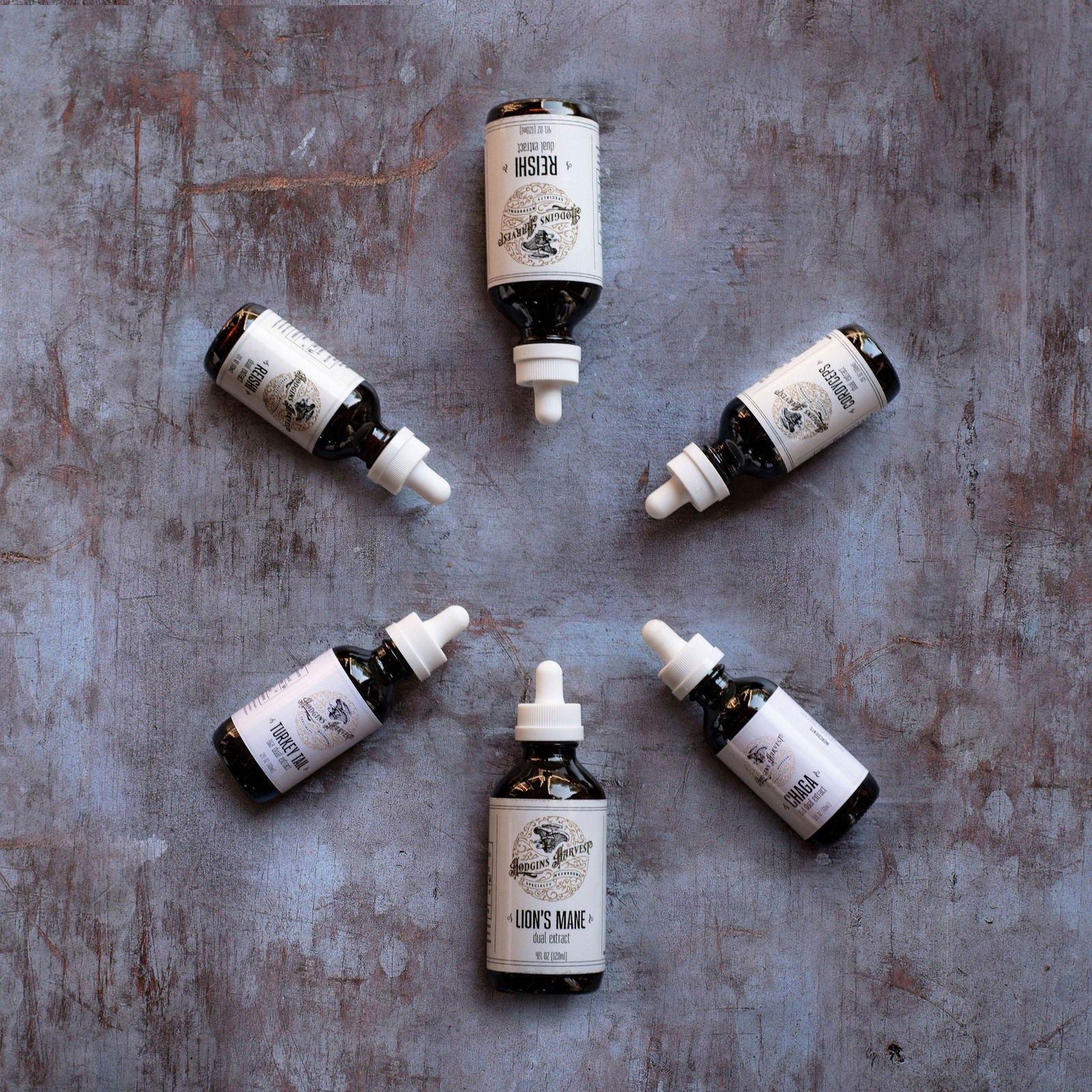 Reishi Dual Extract Tincture - The Cura Way